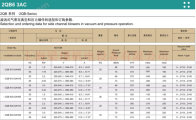 2QB610-SAH26-旋渦氣泵,環(huán)形高壓風(fēng)機工廠現(xiàn)貨