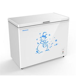 南通如皋創(chuàng)維單冷冰柜BD/C-220雅白熱銷中 免費送貨安裝，華東配送無憂