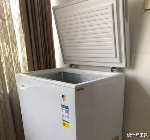逐漸跌下神壇的冰柜，再次悄然走紅，我們還該入手嗎？